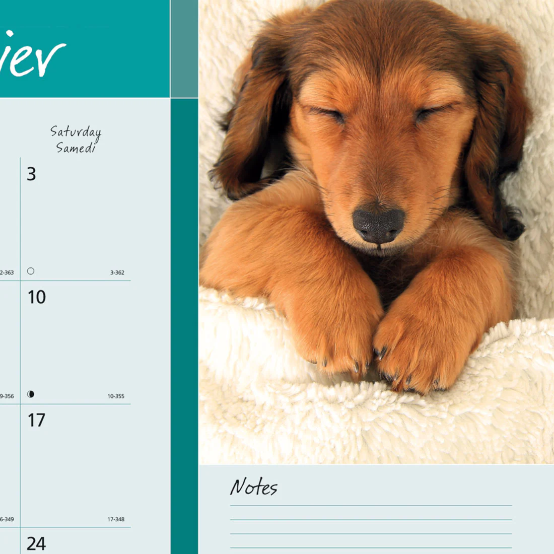 Best Friends Monthly Desk Pad 2026, Bilingual (C194116B-26) - Image 3