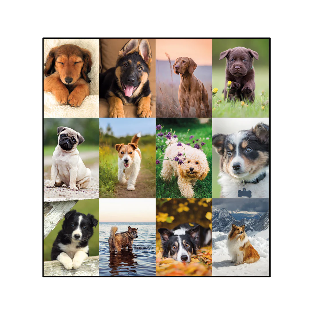 Best Friends Monthly Desk Pad 2026, Bilingual (C194116B-26) - Image 6