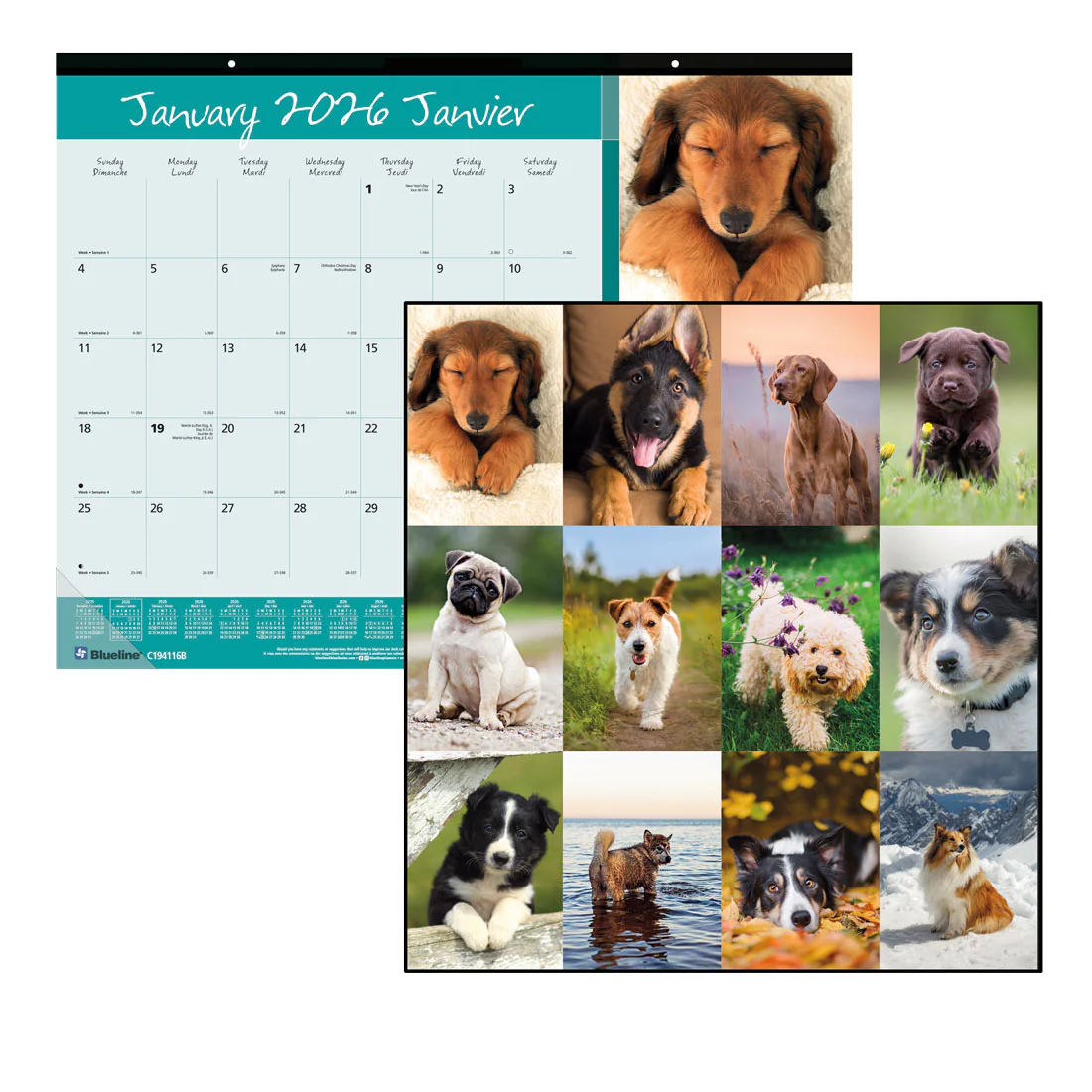 Best Friends Monthly Desk Pad 2026, Bilingual (C194116B-26) - Image 7