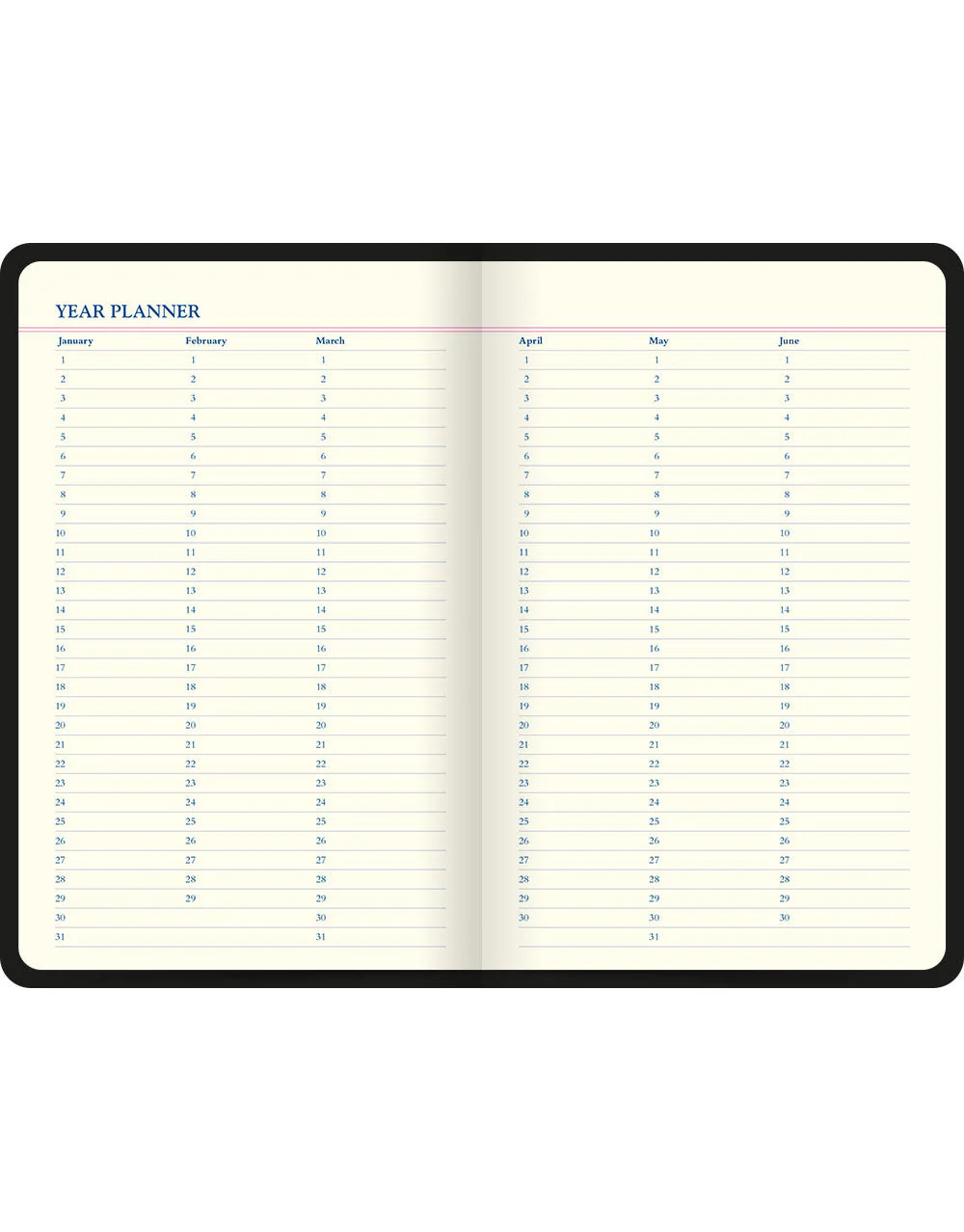 Icon Book Perpetual Diary - Image 10