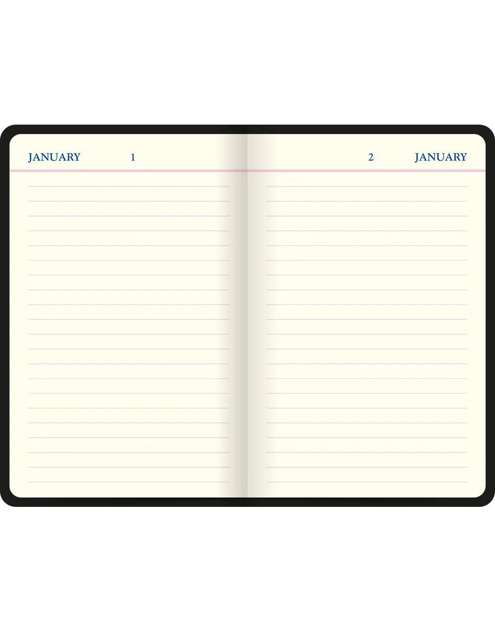 Icon Book Perpetual Diary - Image 9